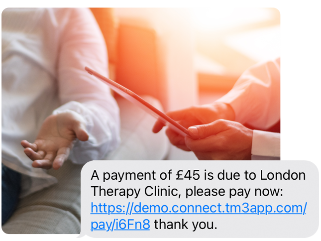 Therapy Online Payment